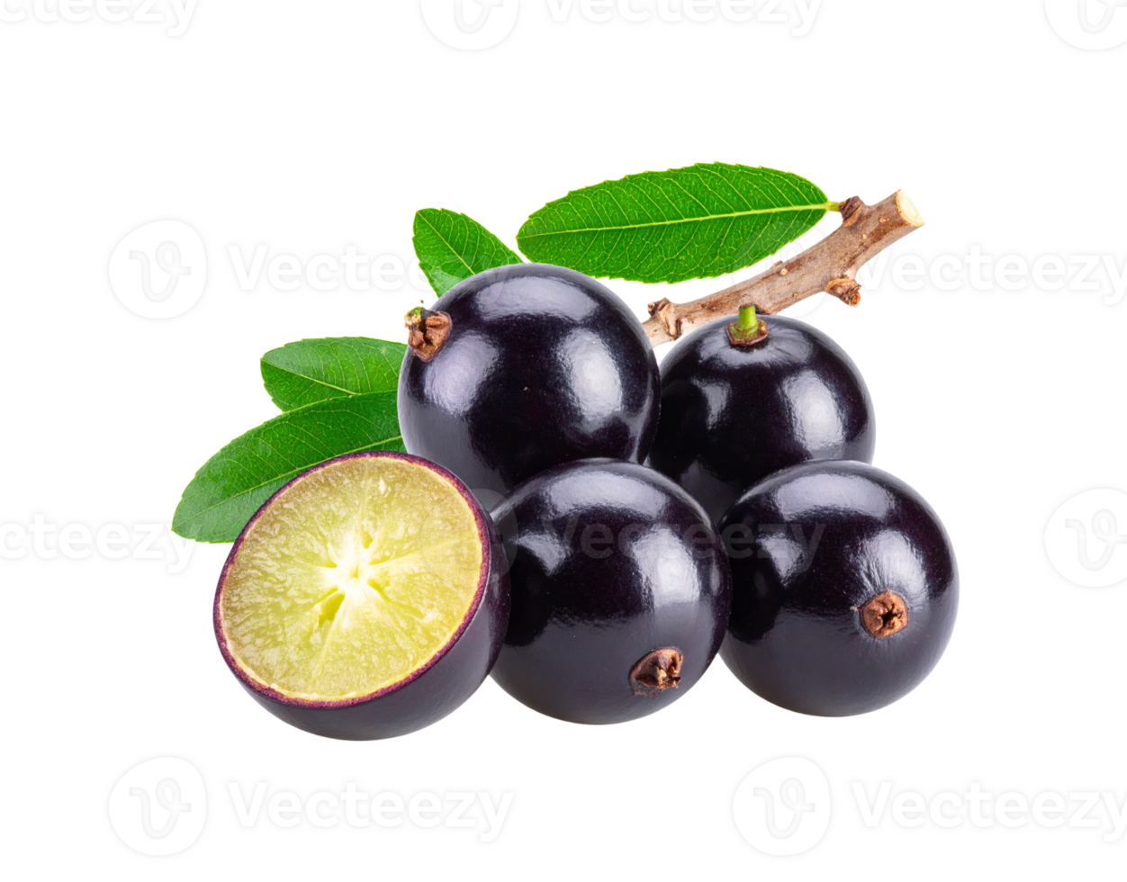 Jabuticaba Fruits Pile of Dark Purple Berries with a Cut Specimen. png