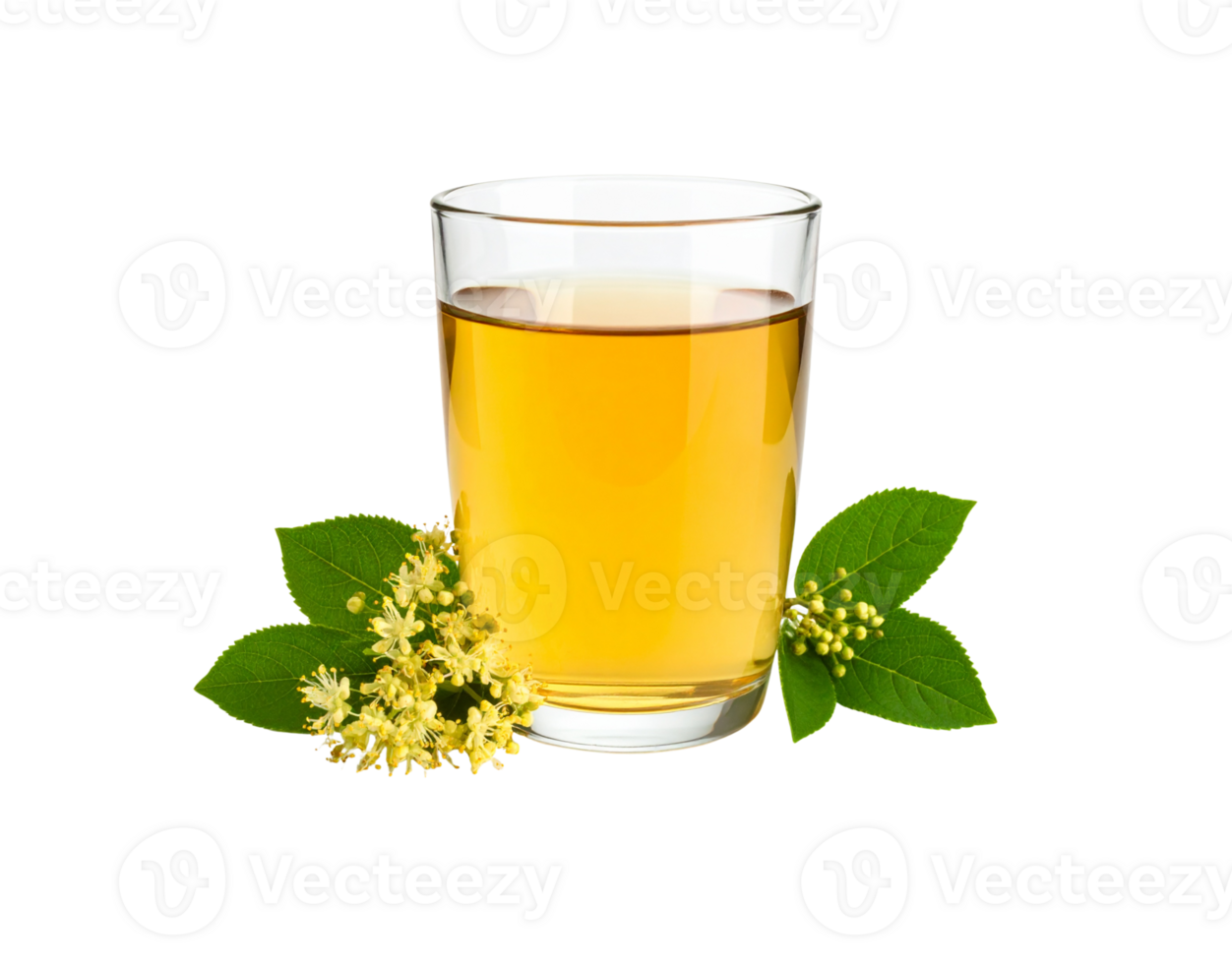 Linden Tea in Glass with Flowers and Leaves Herbal Drink. png