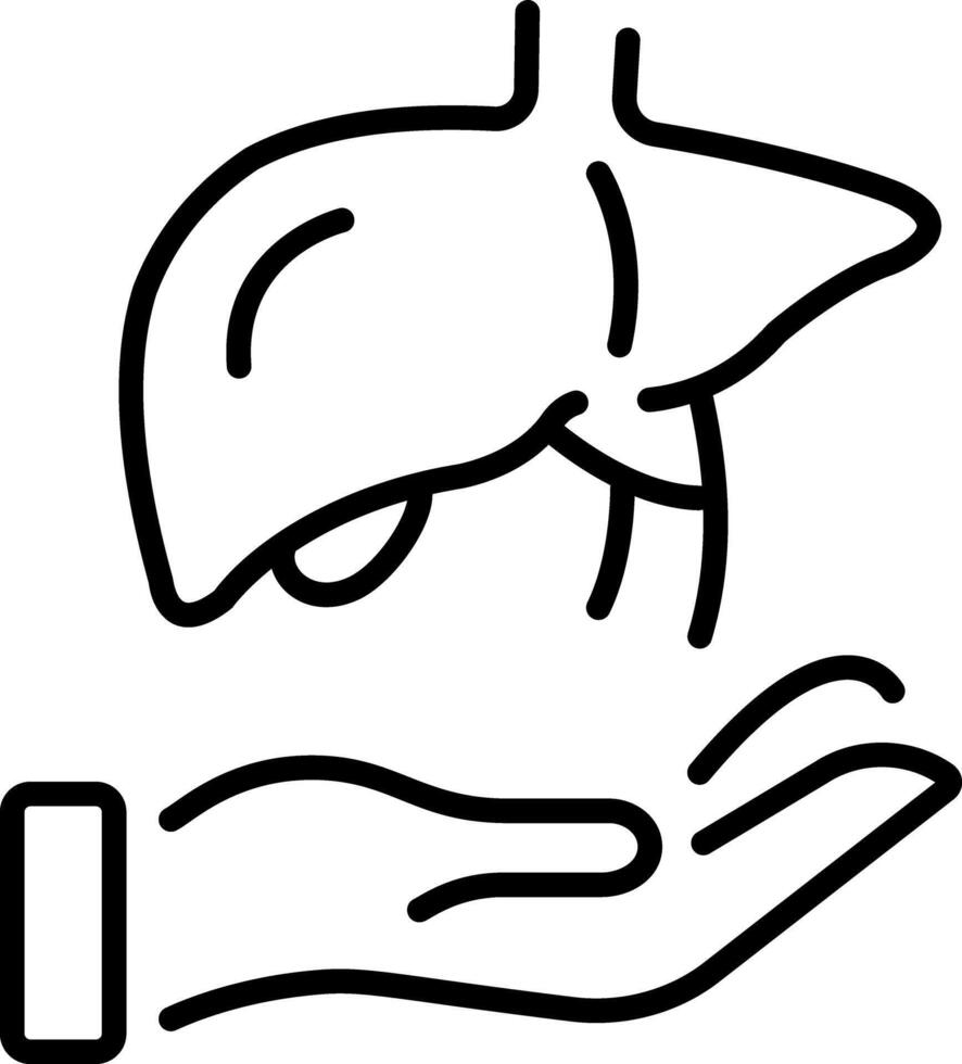 A line style icon showing liver vector