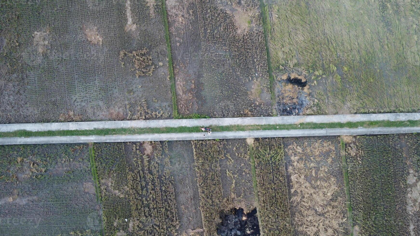 An aerial view of a road in the middle of a field photo