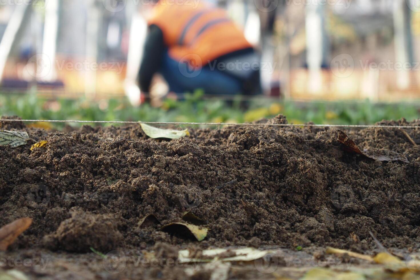 Workers prepare soil for planting in an agricultural field photo