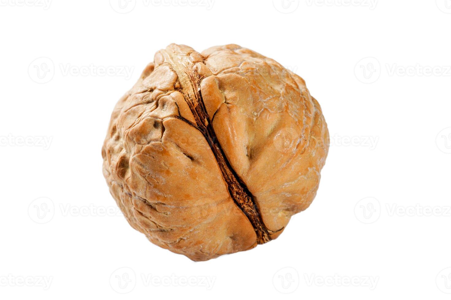 cracked walnut on white background photo