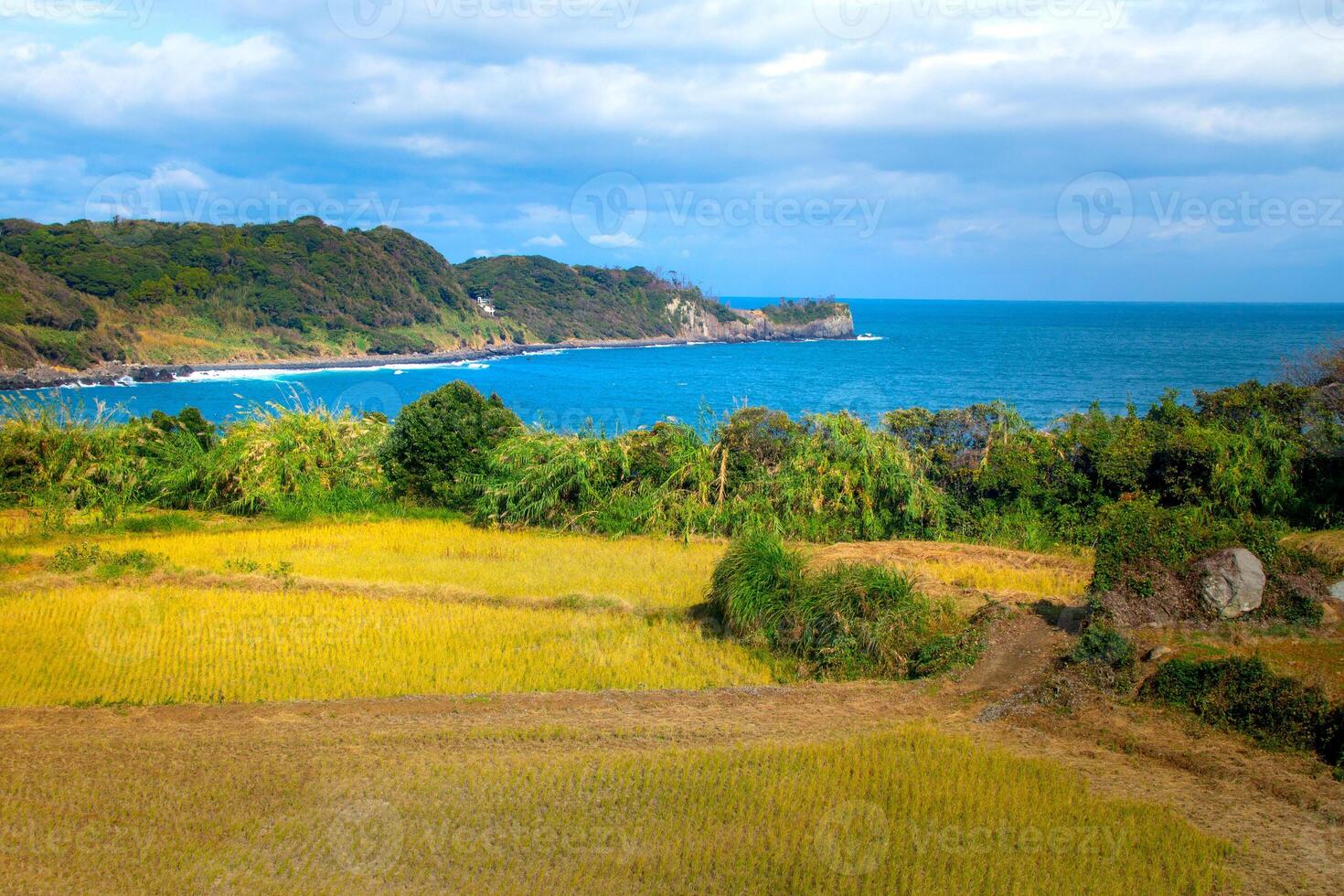 Nanatsugama, formed due to erosion from stormy waves of the Genkai Sea hitting the cliffs, Karatsu, Saga, Kyushu, Japan photo