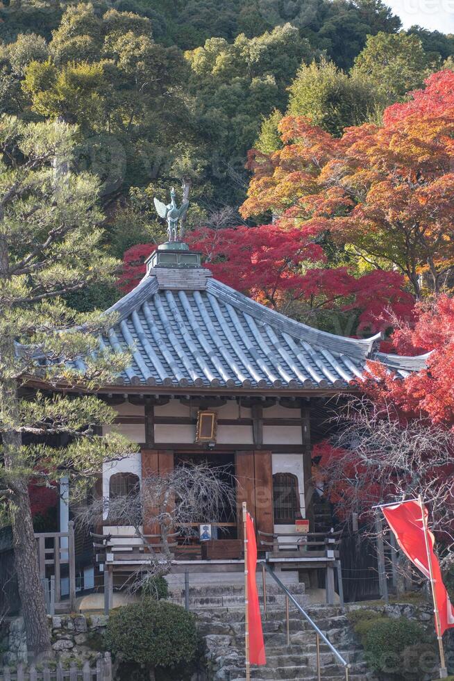 Traditional temple surrounded by colorful autumn foliage. Kyoto, Japan photo