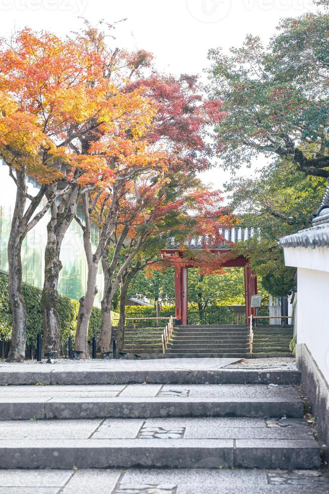 Byodo-in Temple Uji Kyoto Japan, Pathway with autumn trees and a traditional gate in the background. photo