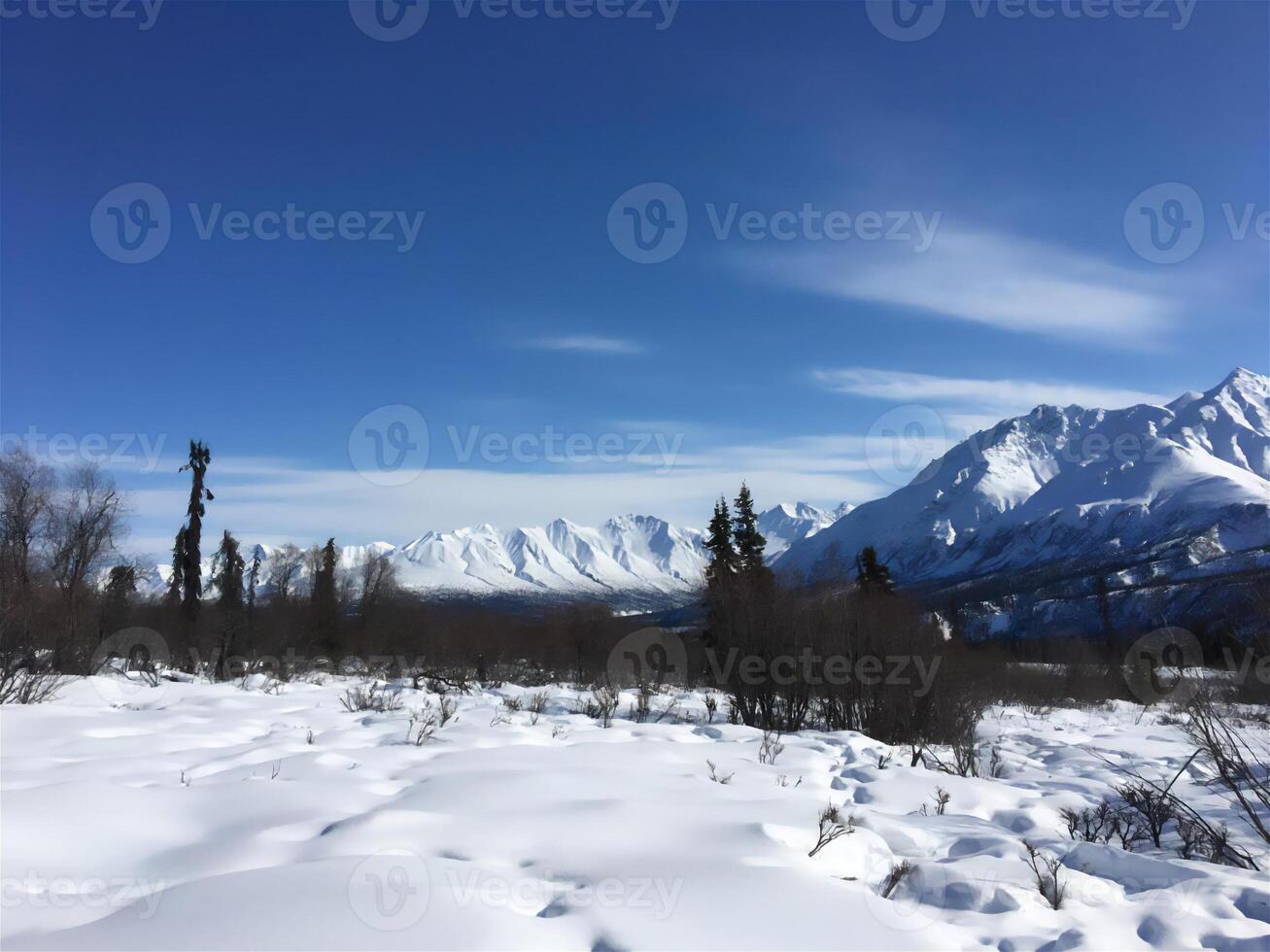 travel, winter, nature, landscape, snow frost, tourism active recreation photo