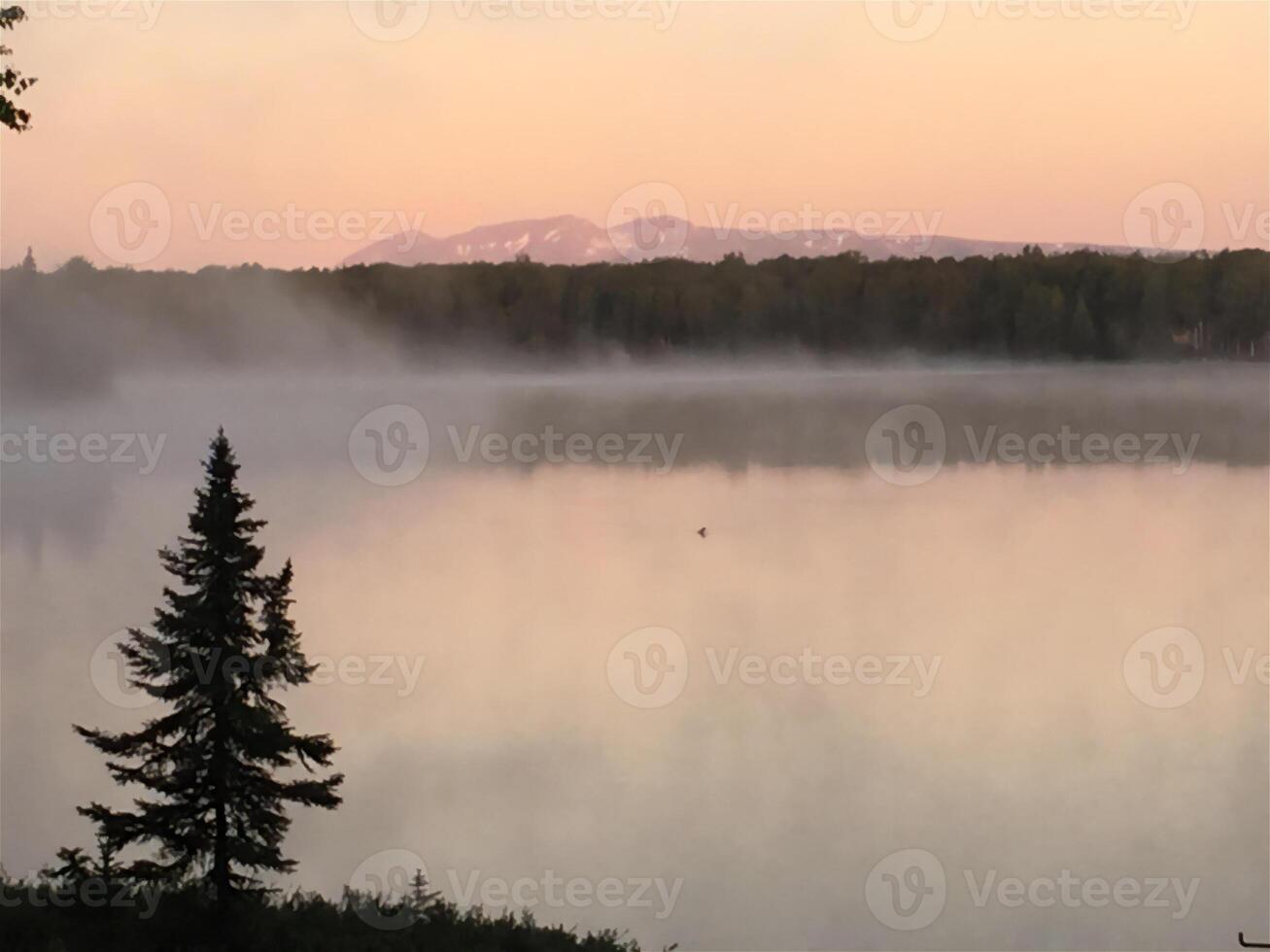 fog coast travel nature active recreation vegetation landscapes sun photo