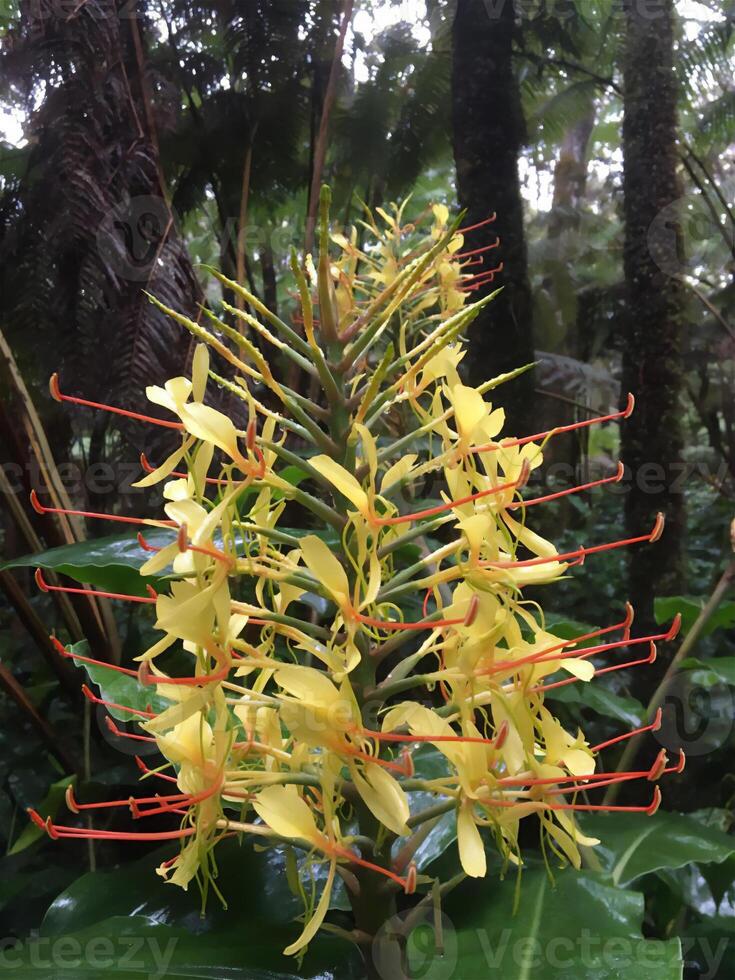 yellow flower travel nature active recreation vegetation landscapes sky sun photo
