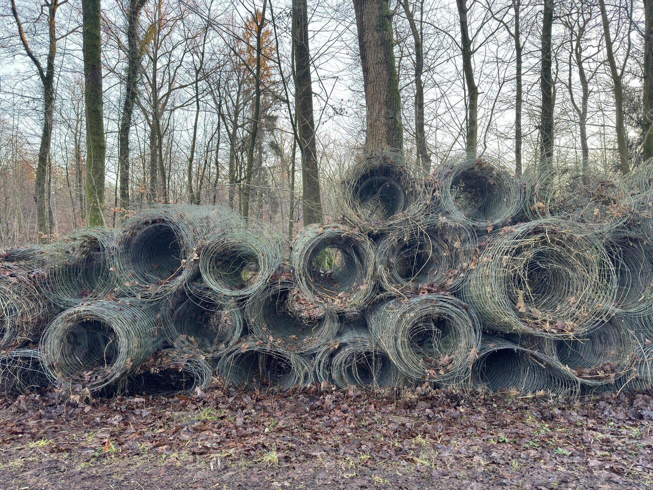 Circular Wire Structure with Leaves in the wood photo
