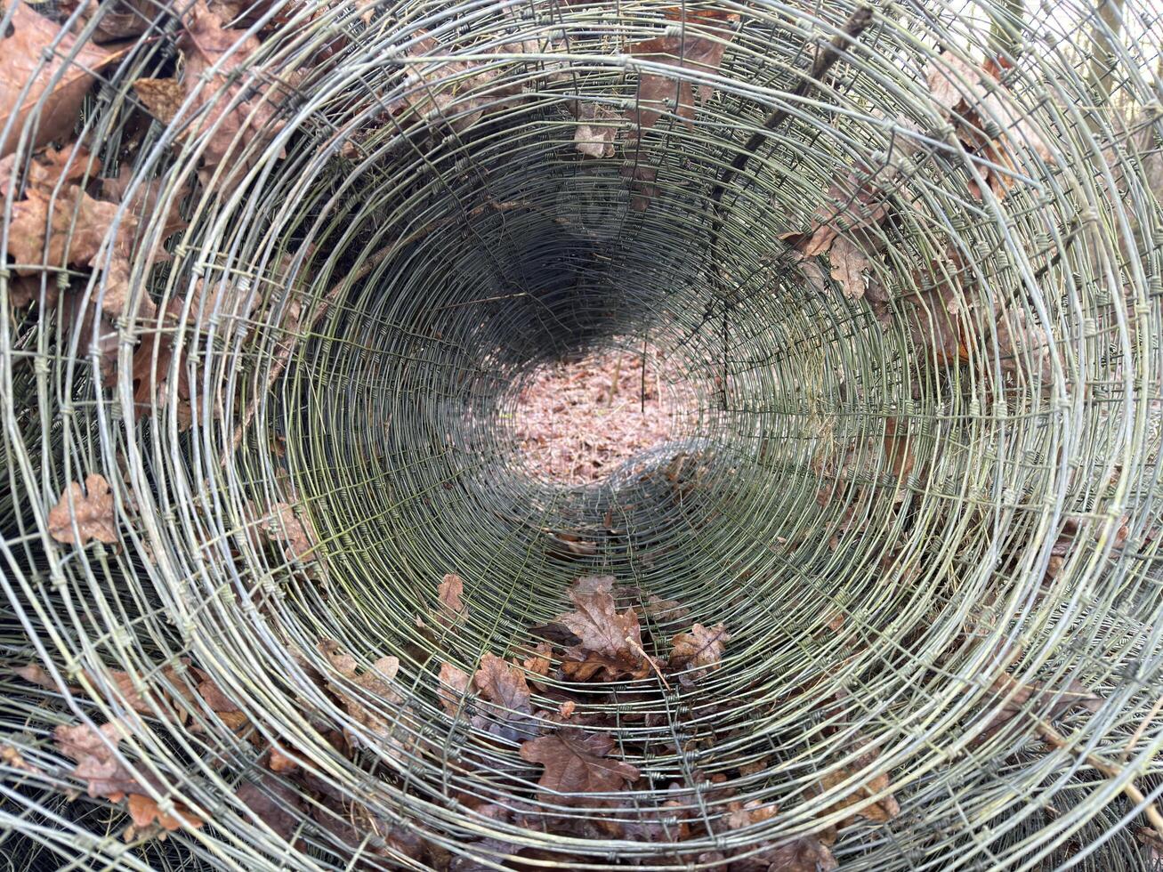 Circular Wire Structure with Leaves photo