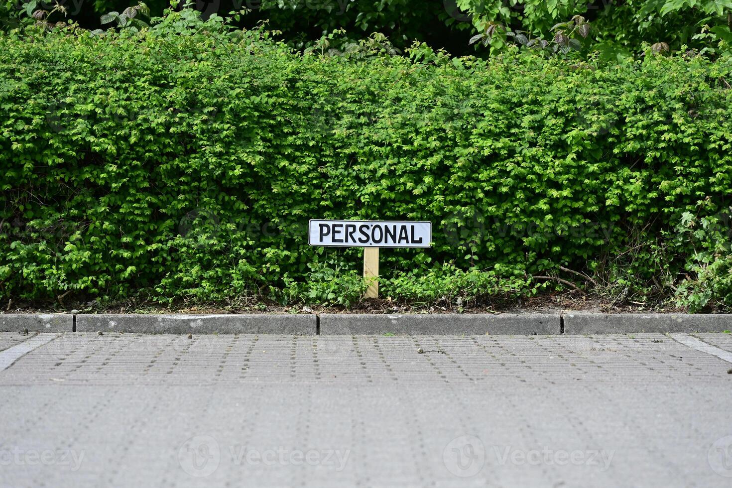 In front of a green hedge, there is a white sign with black lettering saying Personal in a parking lot photo