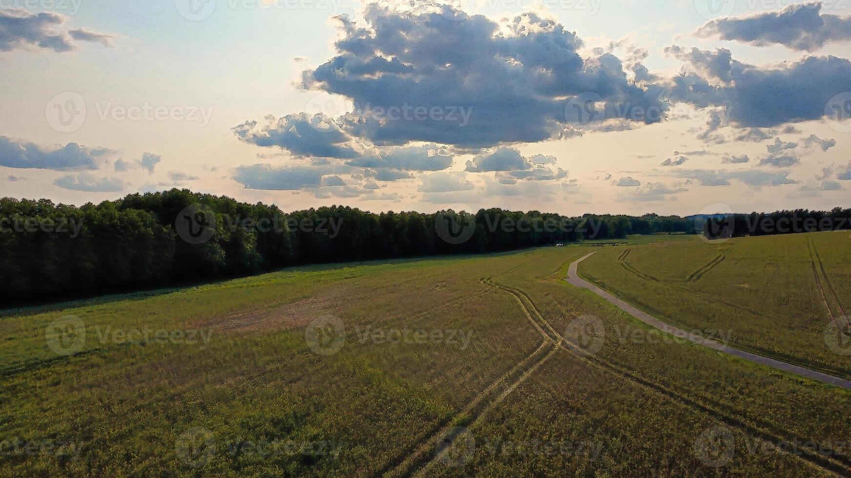 Aerial view of a winding dirt road through a green landscape with fields photo