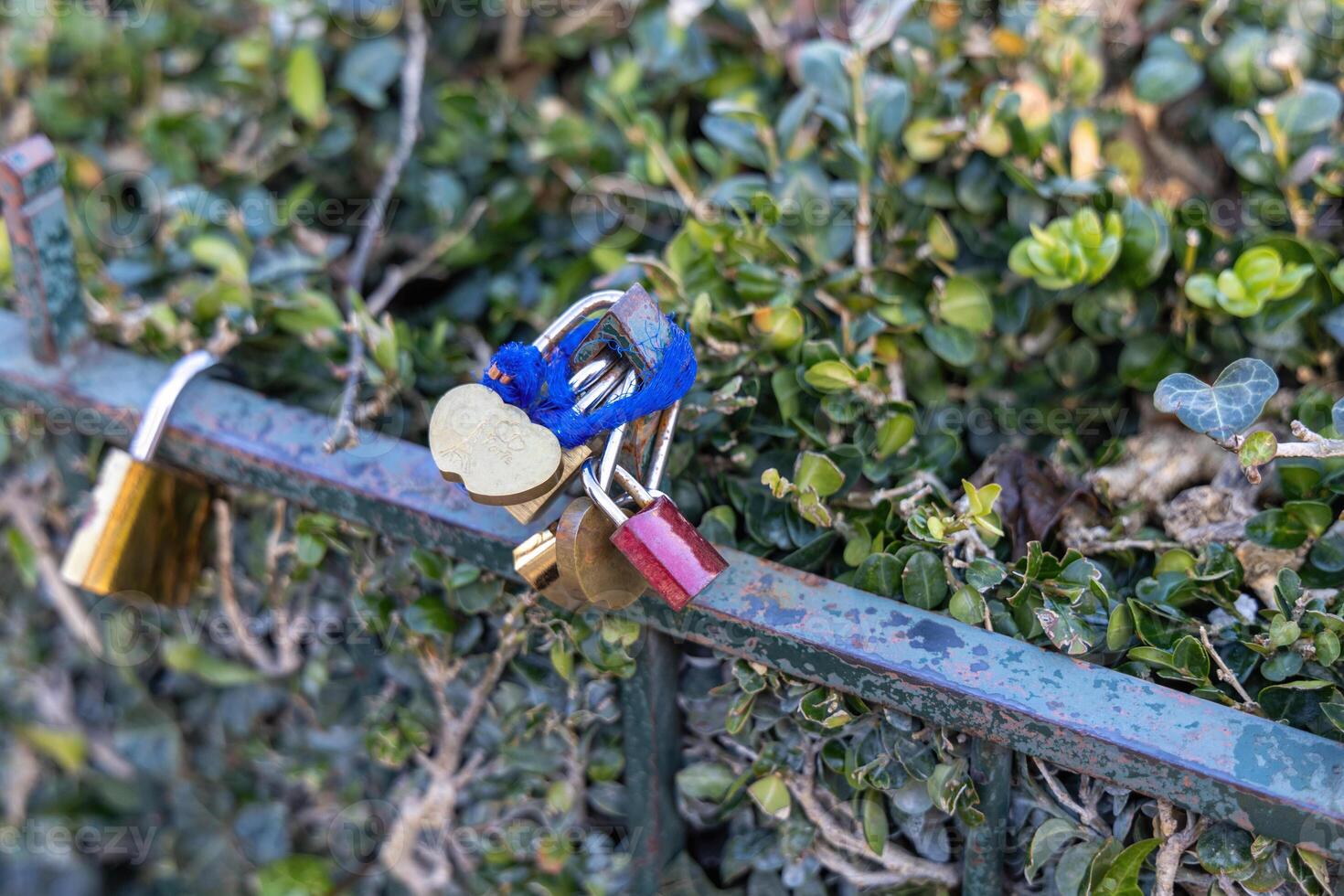 Colorful padlocks on a fence symbolize love and unity, evoking deep feelings in couples photo