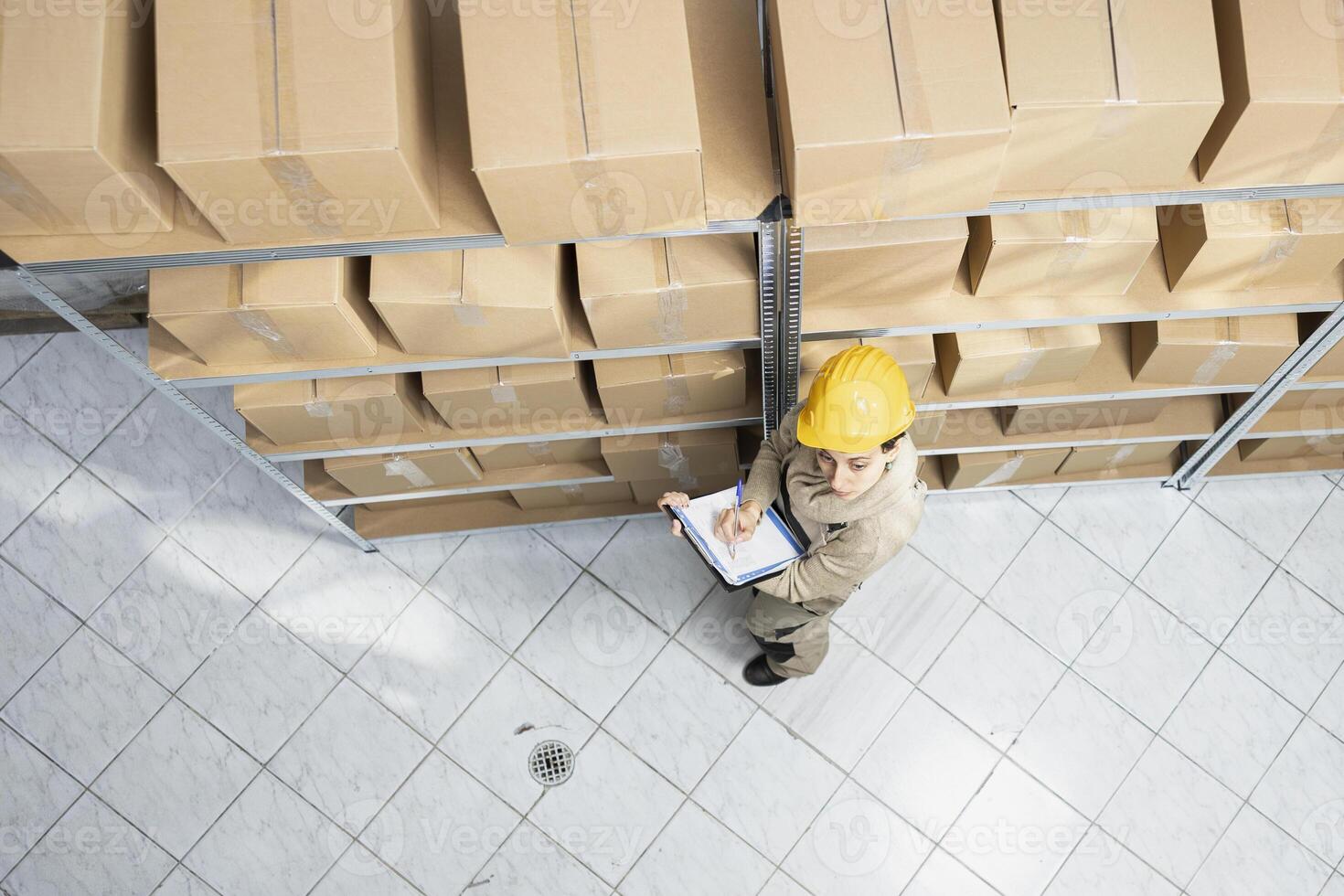 Female employee examining cargo on shelves for efficient distribution, managing the shipment process, inventory control, and packaging of goods for import export delivery service. photo