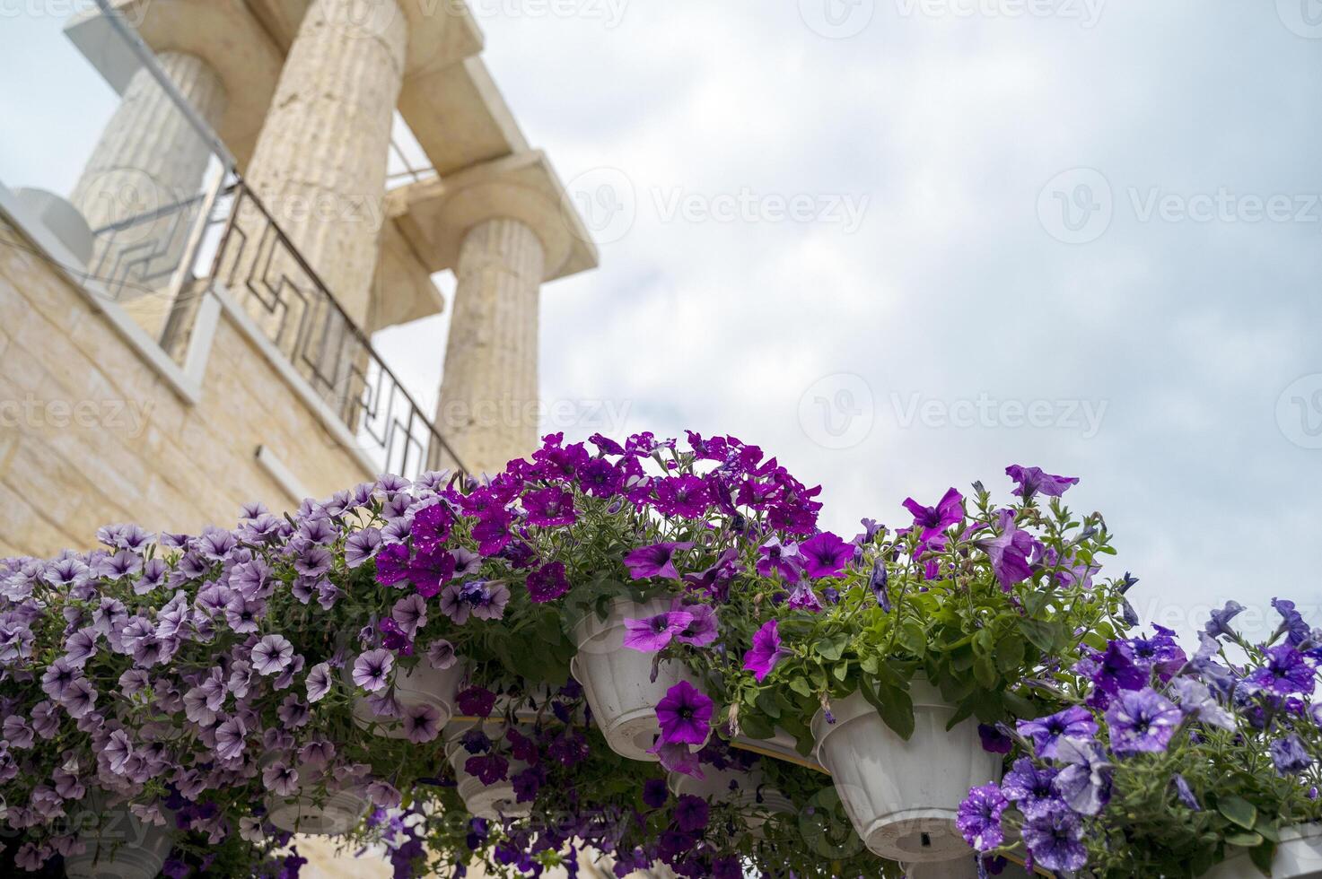 Background with sky, white flowers and columns. The concept of summer photo