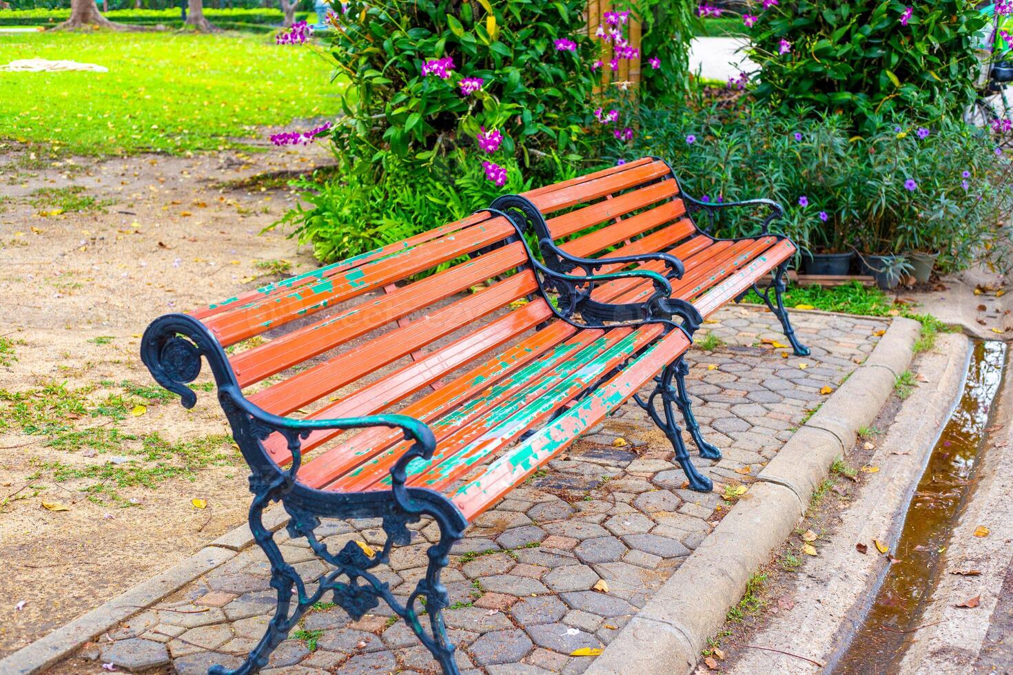 Old wooden benches sit on a stone path amidst the lush greenery and flowering plants of a park photo