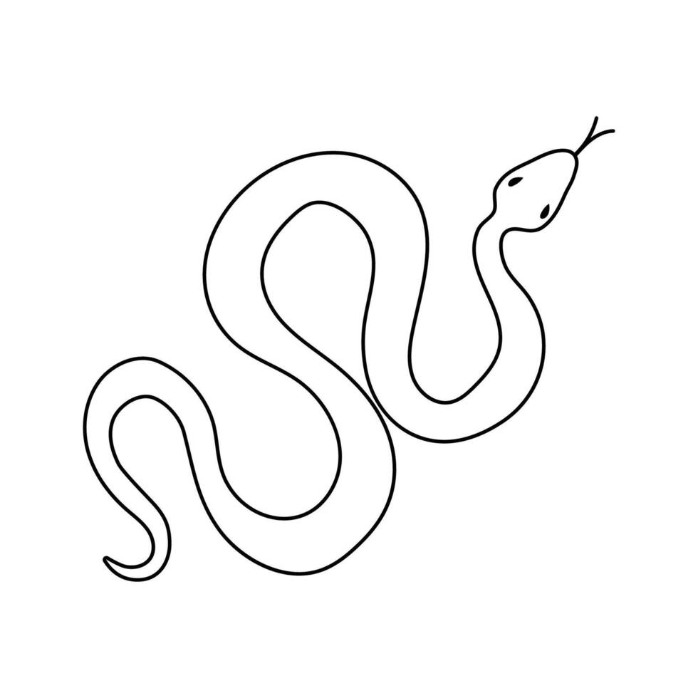 Snake in doodle style. Snake hand drawn line art. Universal design, illustration isolated on white background vector