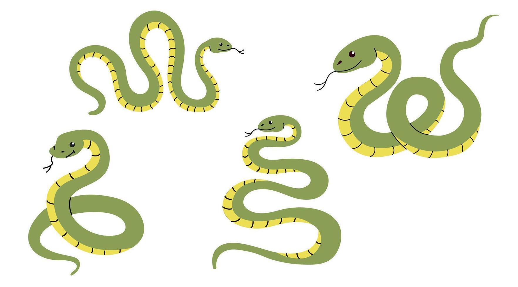 Set of funny green snake cartoon. illustration. Symbol of 2025 vector