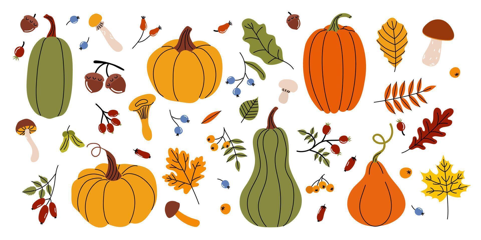 Collection of colorful pumpkins and autumn leaves arranged creatively for seasonal decor and celebration preparation vector