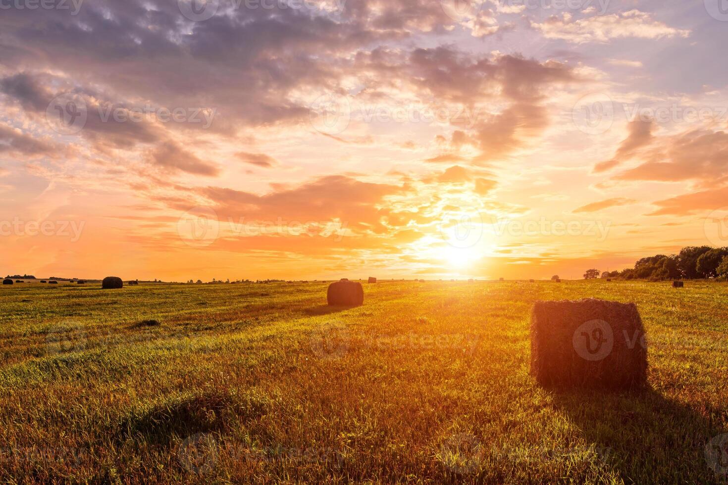 Sunset or dawn over hay bales in a field. Golden light bathes the landscape, creating a tranquil scene. For agriculture, travel and inspiring greeting card designs. photo