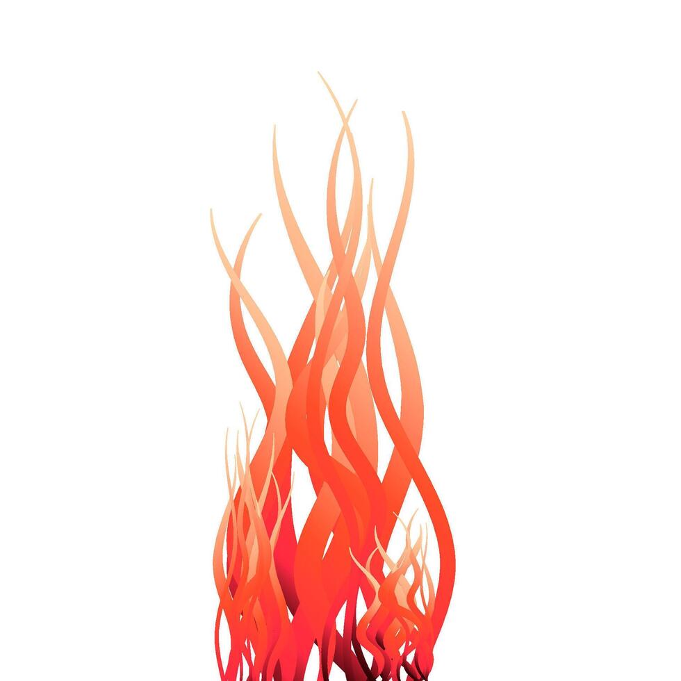 Fire flames on white background. vector