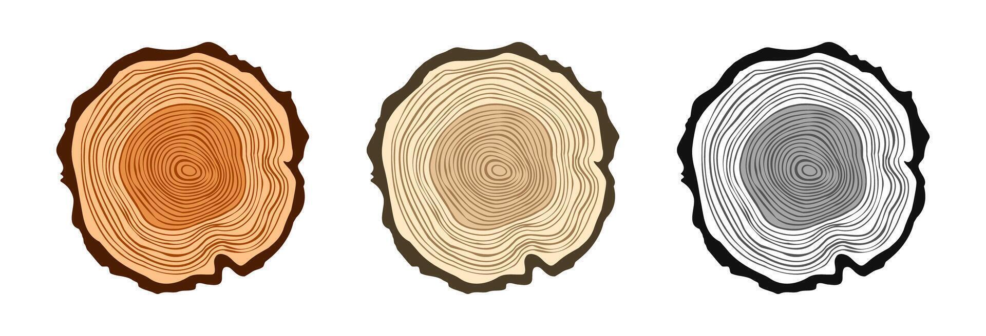 Round tree trunk cuts in various colors, sawn pine or oak slices, lumber. Saw cut timber, wood. Brown wooden texture with tree rings. Hand drawn sketch. illustration vector