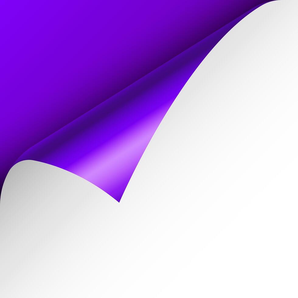 Violet paper curl. Curled page corner with shadow. Blank sheet of paper. Colorful shiny foil. Design element for advertising and promotion. illustration. vector