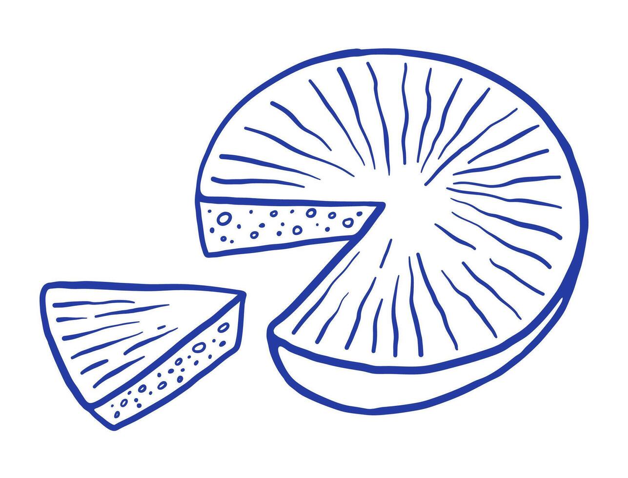 Hand draw whole cheese and slice illustration. Natural dairy product. Doodle sketch style vector