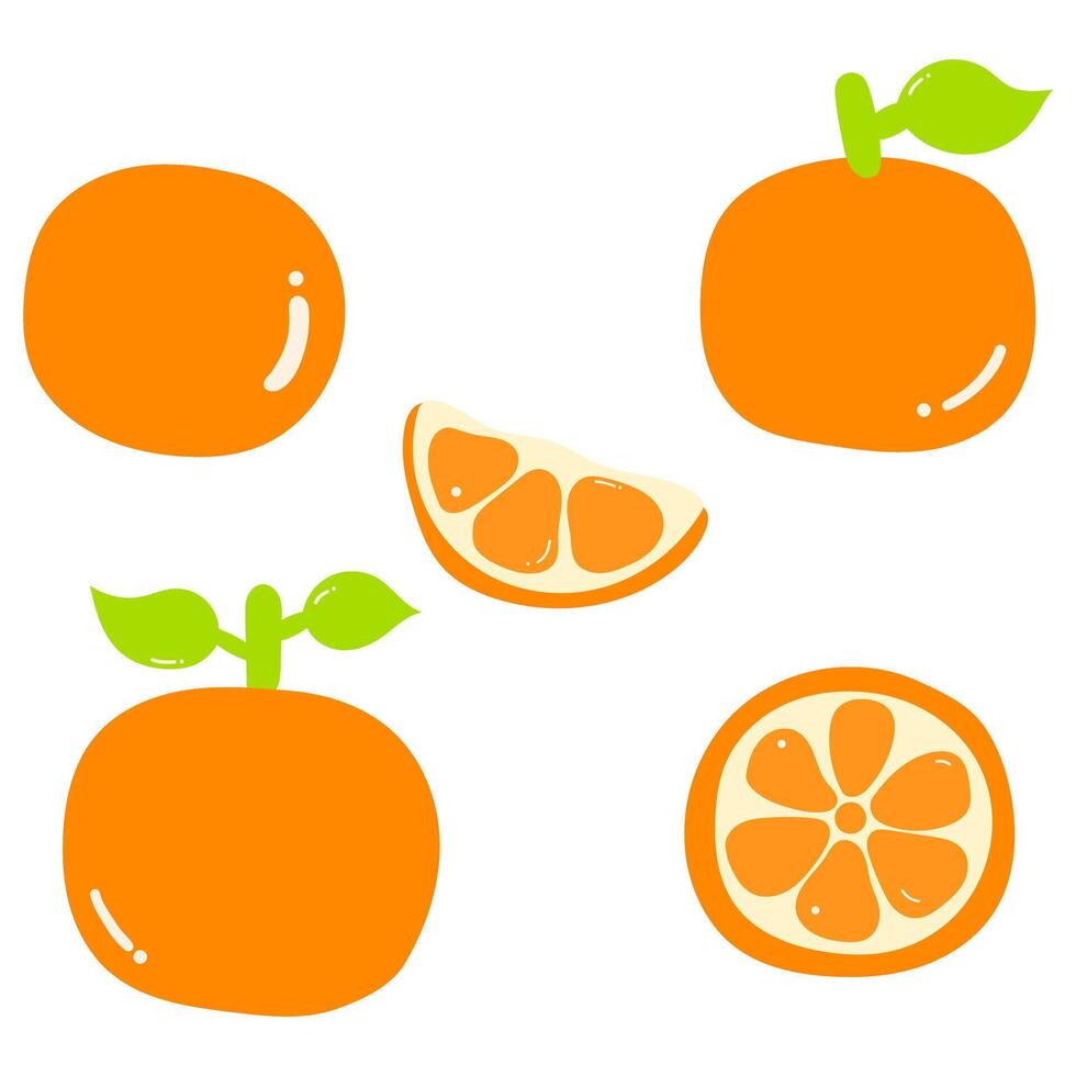Set of orange with stem, leaf, and cut pieces vector