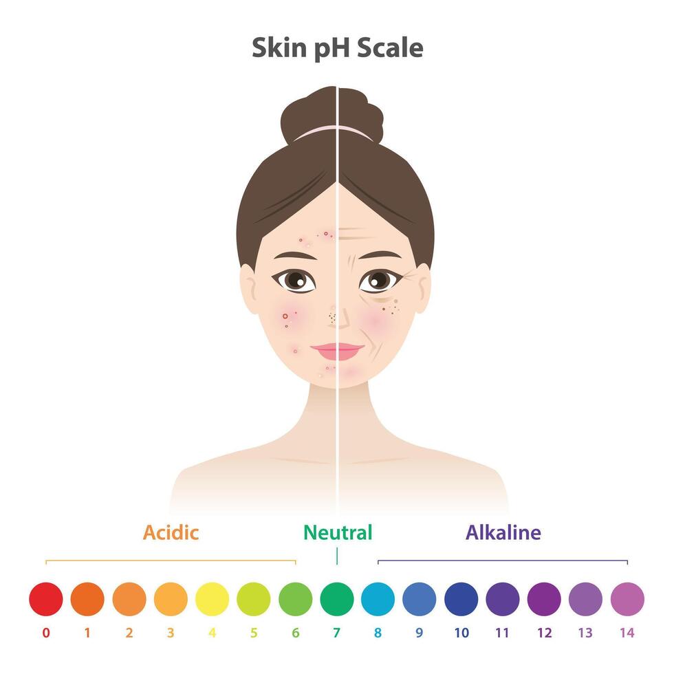 Comparison of low and high skin pH scale on woman face illustration. Low skin pH scale is acidic, acne prone, oily skin and inflammation. High pH is alkaline, dry, premature aging and wrinkle. vector