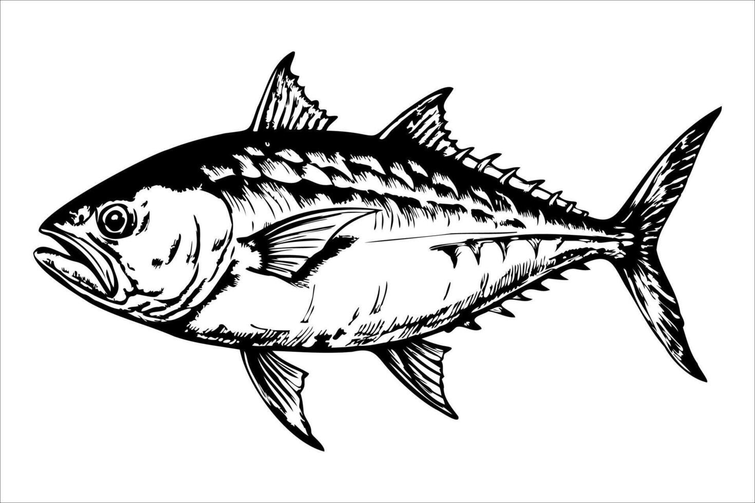 A detailed illustration of a tuna fish, showcasing its streamlined body, sharp fins, and distinctive markings. The fish is depicted in a side view, emphasizing its features. vector