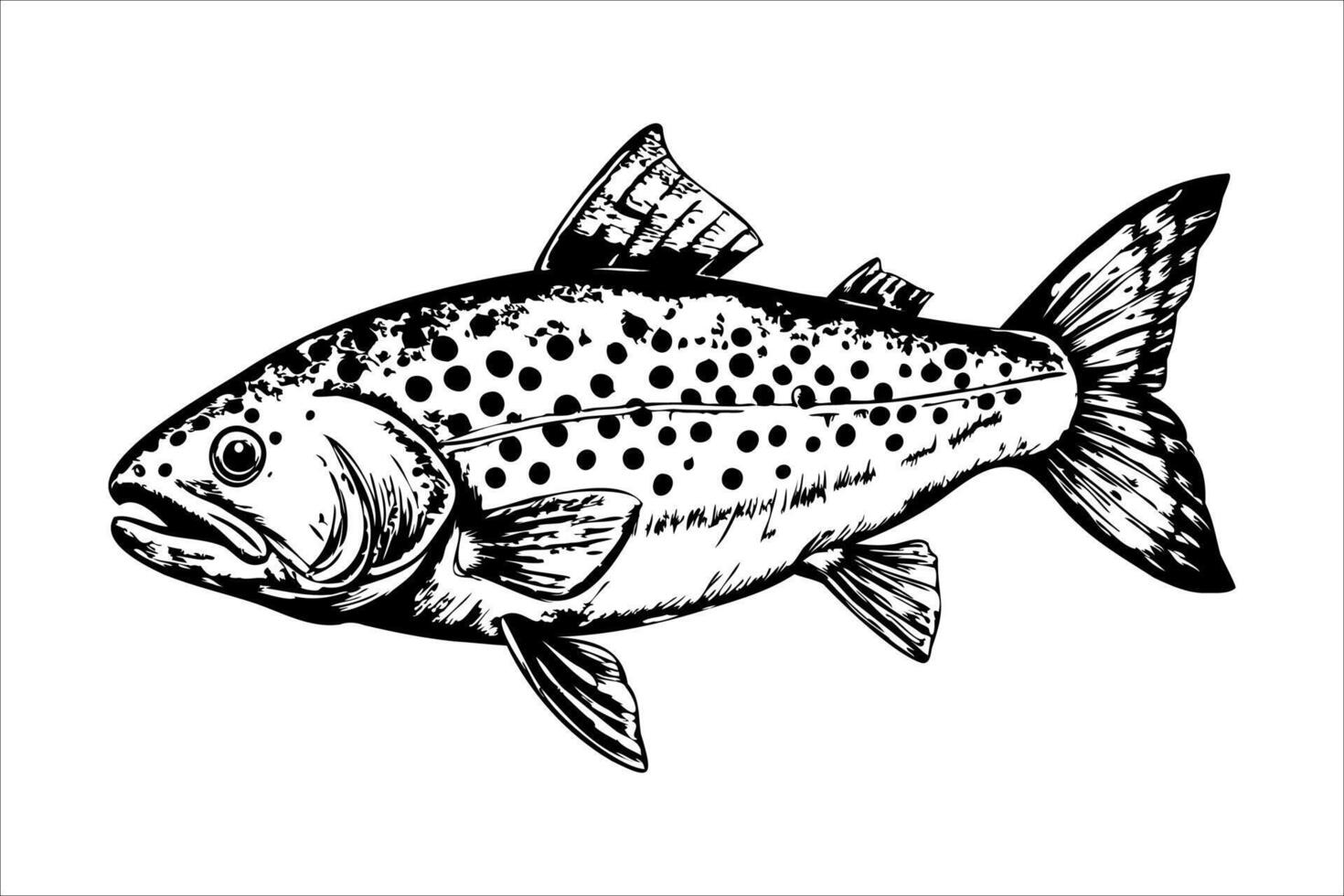 A detailed illustration of a trout fish with distinctive spots and fins. The fish is depicted swimming gracefully in a natural setting. vector