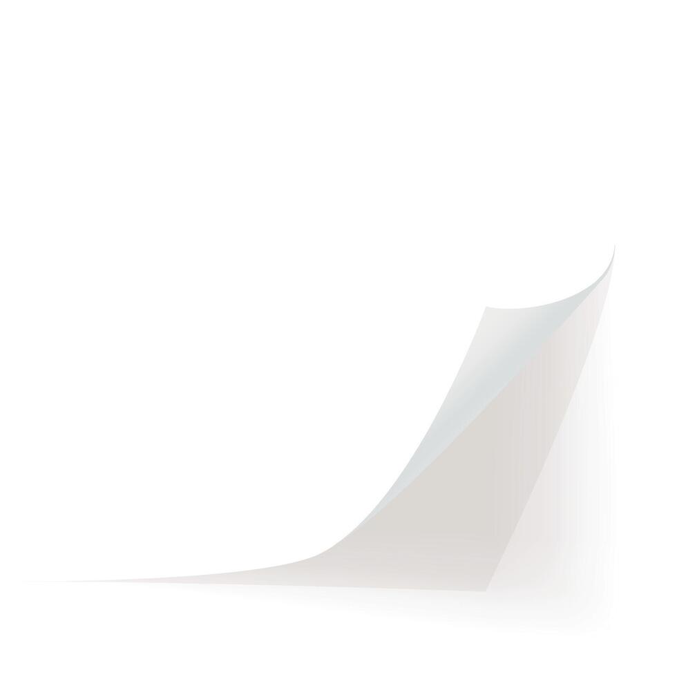 a white paper curled corner with shadow vector