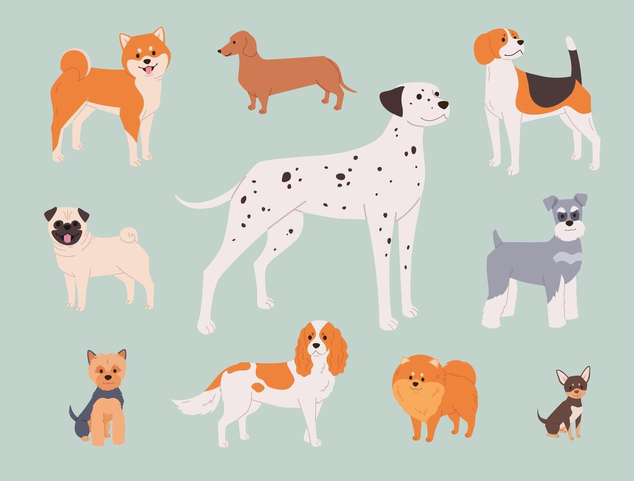 Illustration of various dog breeds vector