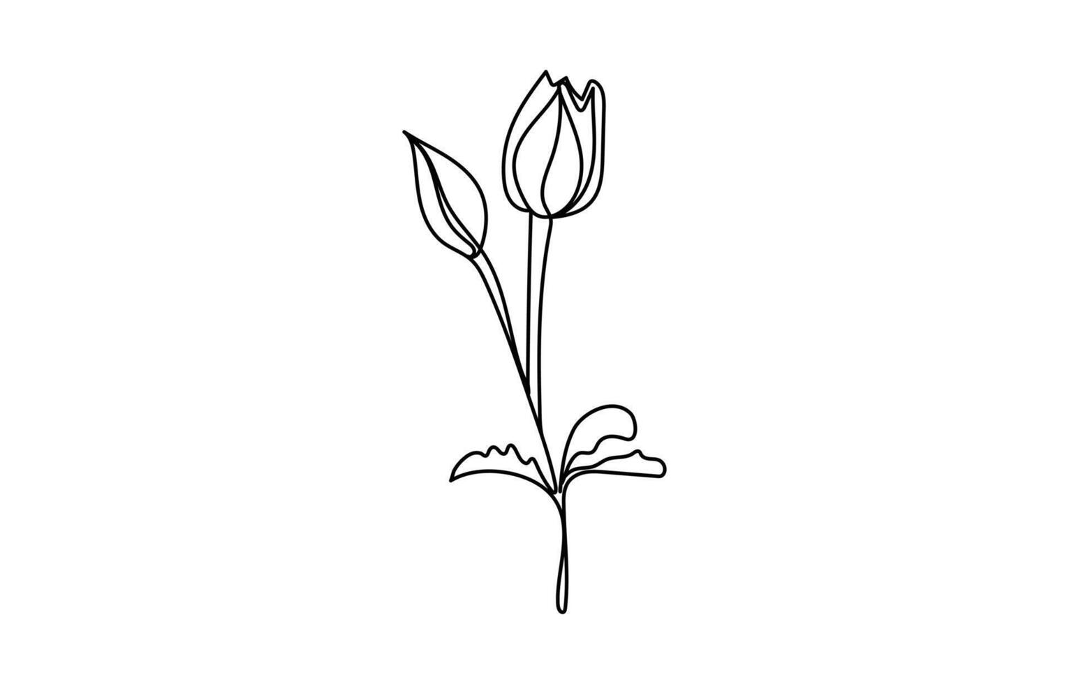 Hand drawn outline sketches of blooming spring tropical flowers and orchids for elegant floral artwork vector