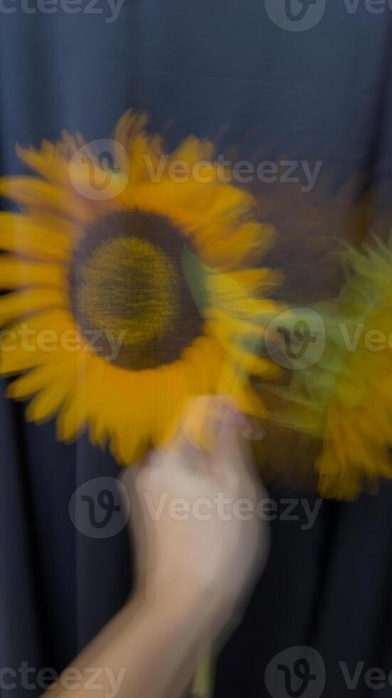 A vertical artistic photograph of a blurred sunflower held in a hand against a black background. The motion blur effect adds a dreamy and surreal feel photo