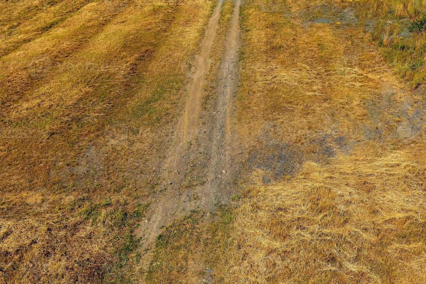 Rural path weaving through golden fields on a sunny day showcasing nature's serenity and beauty photo