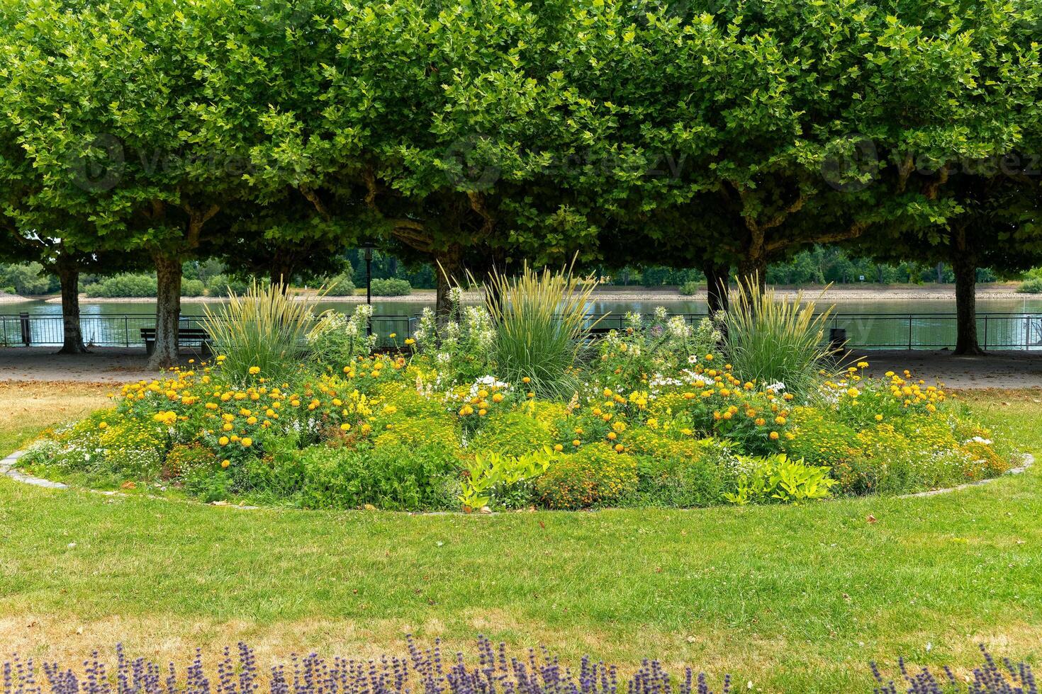 Vibrant garden blooms beside tranquil waters in a lush green park setting on a sunny day photo