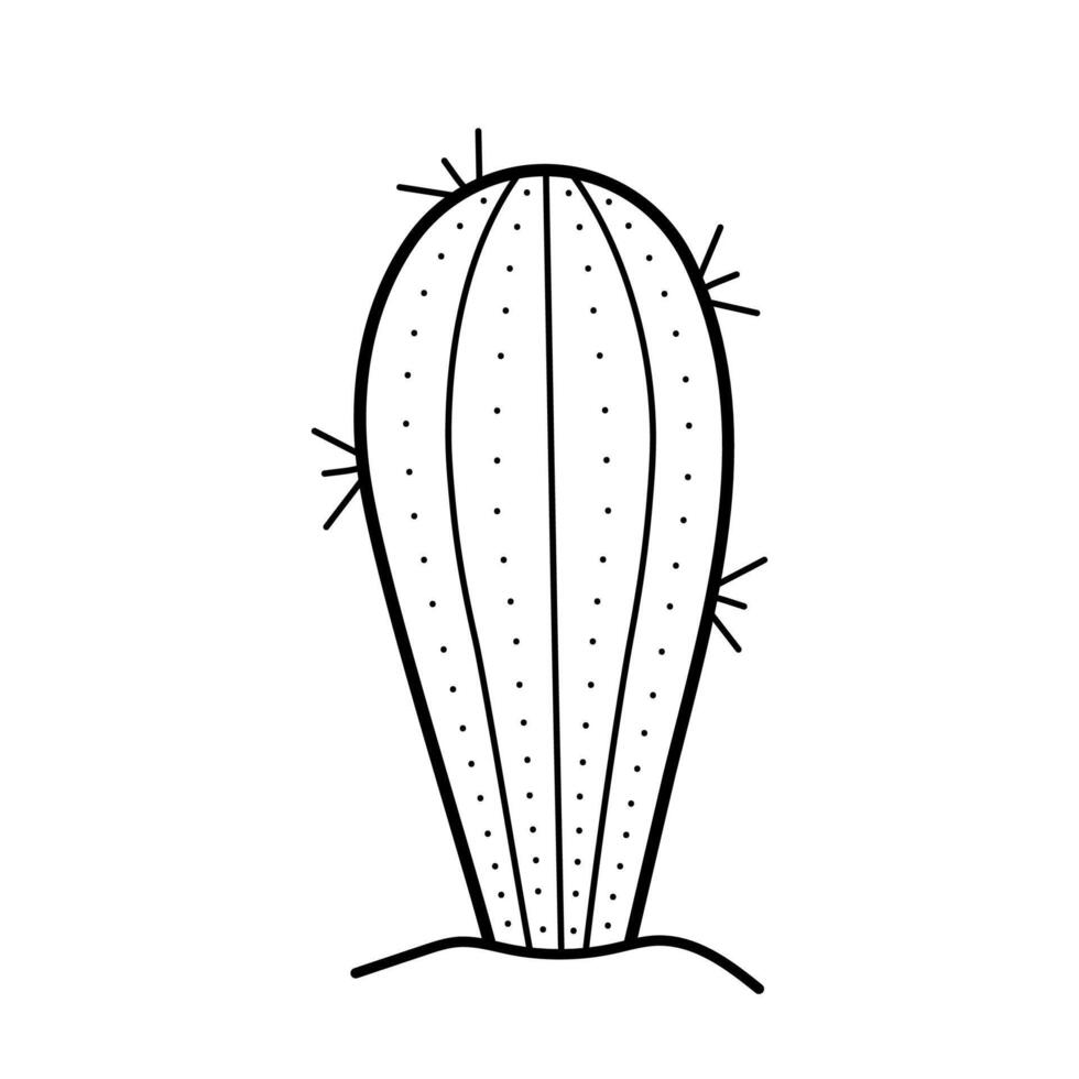 Cactus. Desert plant with prickles. Hand draw illustration in sketch doodle style. vector
