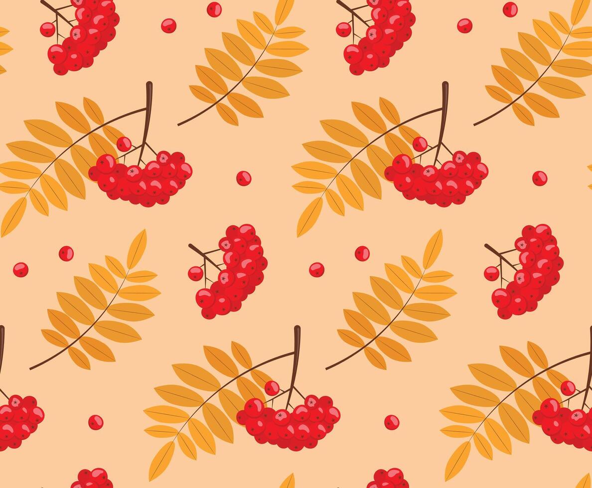 Autumn pattern. seamless pattern with rowan and leaves on an orange background. vector