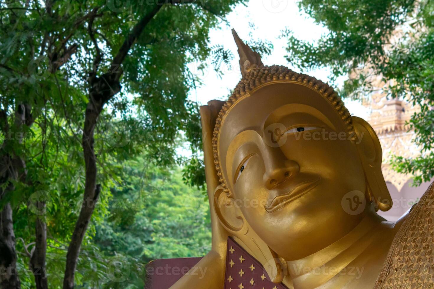 A golden buddha statue is sitting on a tree photo