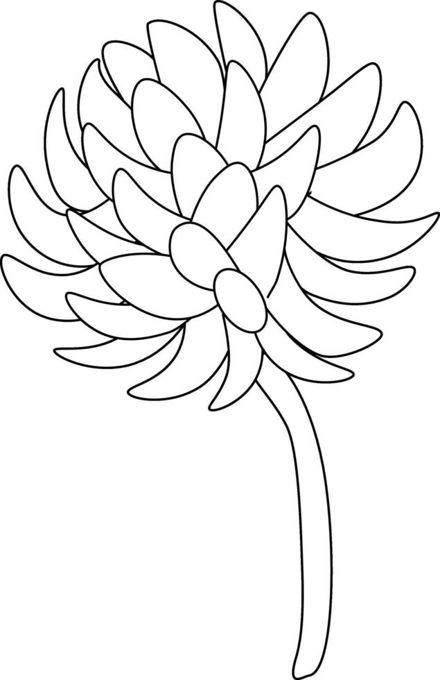 Clover flower isolated. graphic line illustration. Perfect for cards, decorations, stickers, logo, menu, various designs. design for fashion graphics, textile prints, fabrics, wallpapers. vector