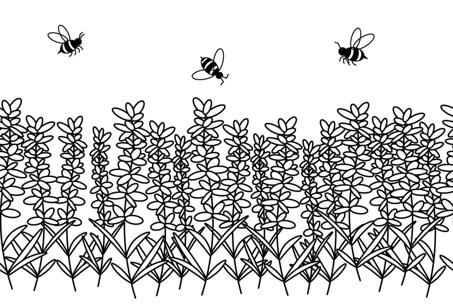 Black line lavender flower with bees horizontal seamless border. graphic line illustration. Cute provance Vintage retro sketch element for labels, packaging, textile and cards design. vector