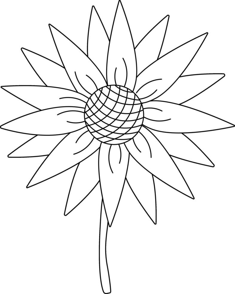 Sunflower editable stroke isolated. graphic line illustration. Perfect for cards, decorations, stickers, logo, menu, various designs. poster, flyer, banner, invitation, social media vector