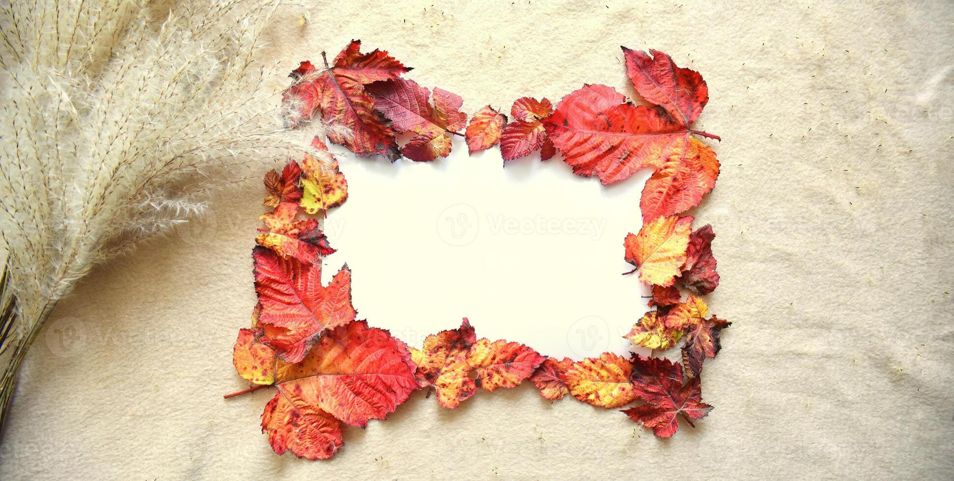 Bright frame made of autumnal red and orange tree leaves on a beige fabric background with folds under sunlight next to bouquet of Miscanthus sinensis Chinese silver grass photo