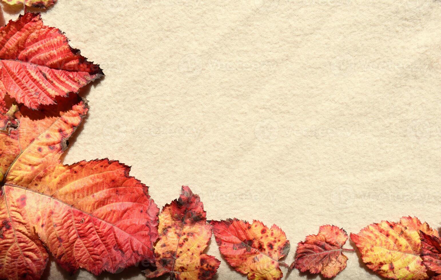 Bright frame made of autumnal red and orange tree leaves on a beige fabric background with folds under sunlight. Nature background photo