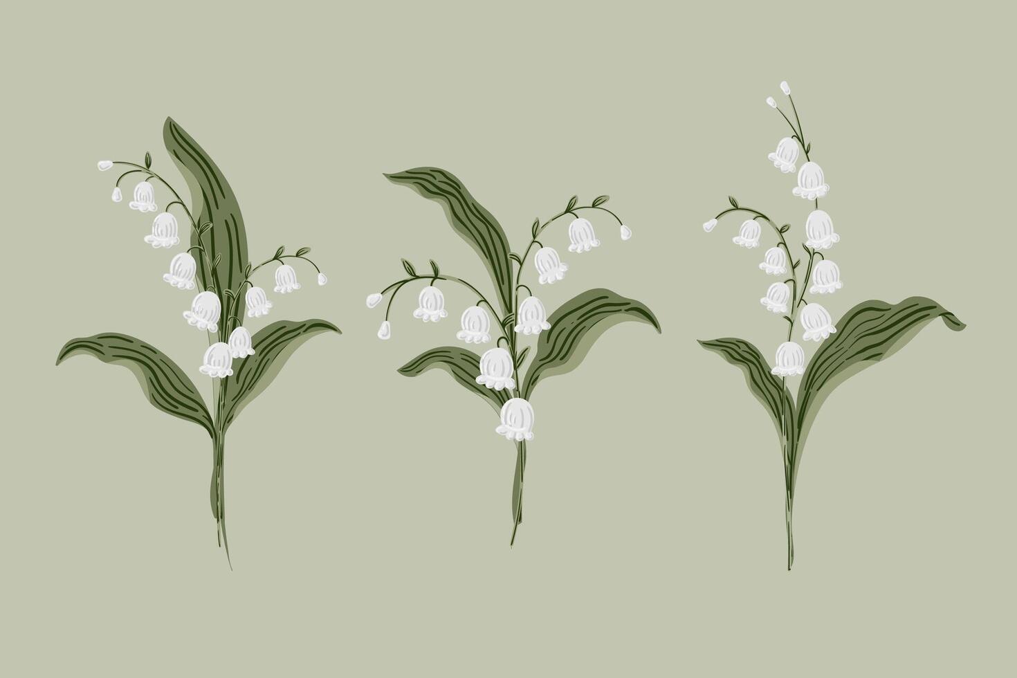 Lily Of the Valley Flower bouquets set. Hand painted botanical May Birth Month Flower collection vector
