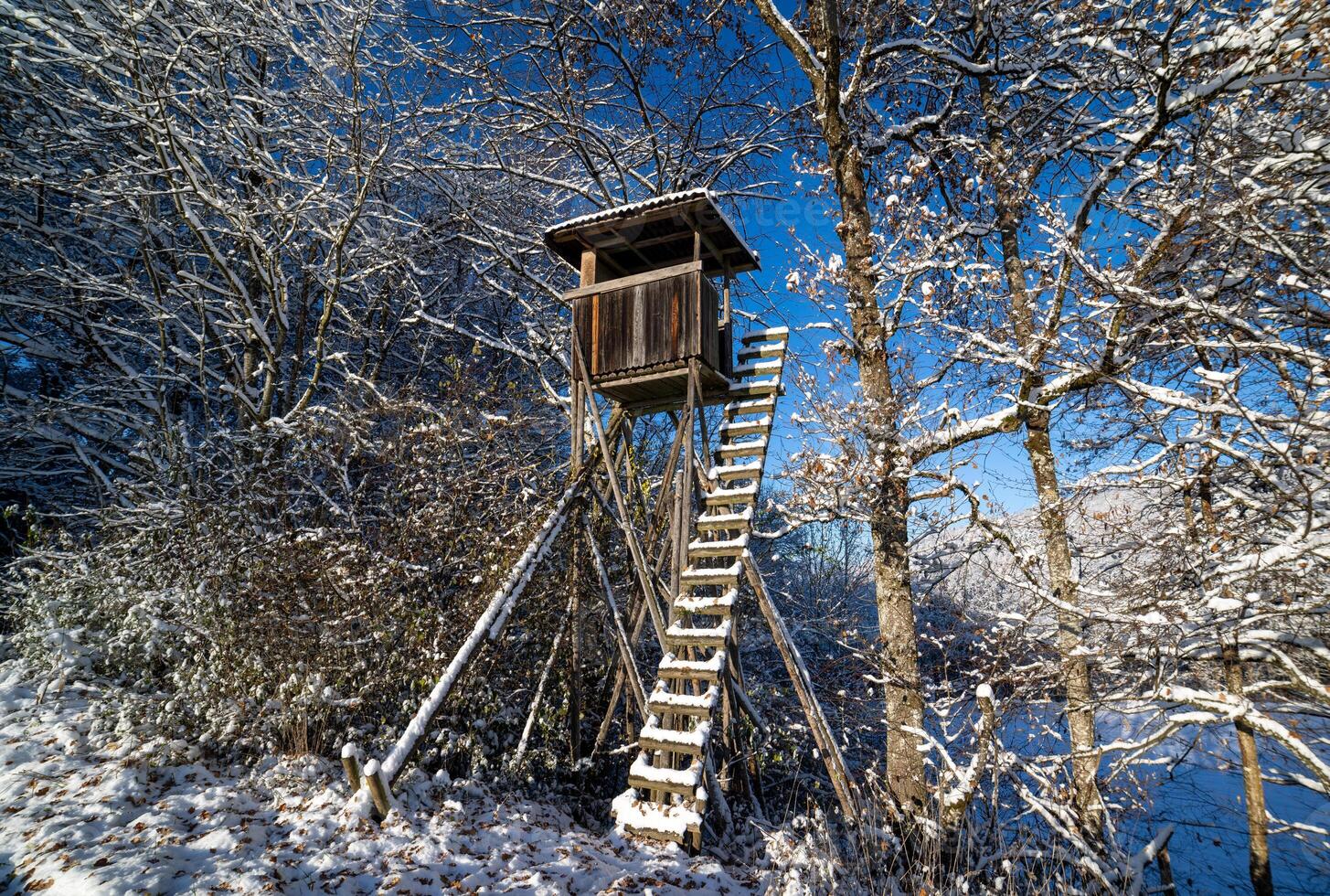 tower at edge of the winter forest photo