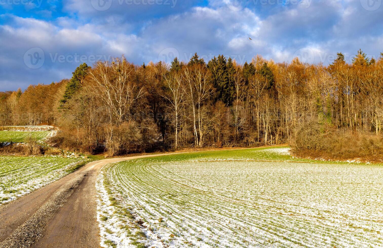 Dirt path among a winter field on a cloudy frosty snowy day photo