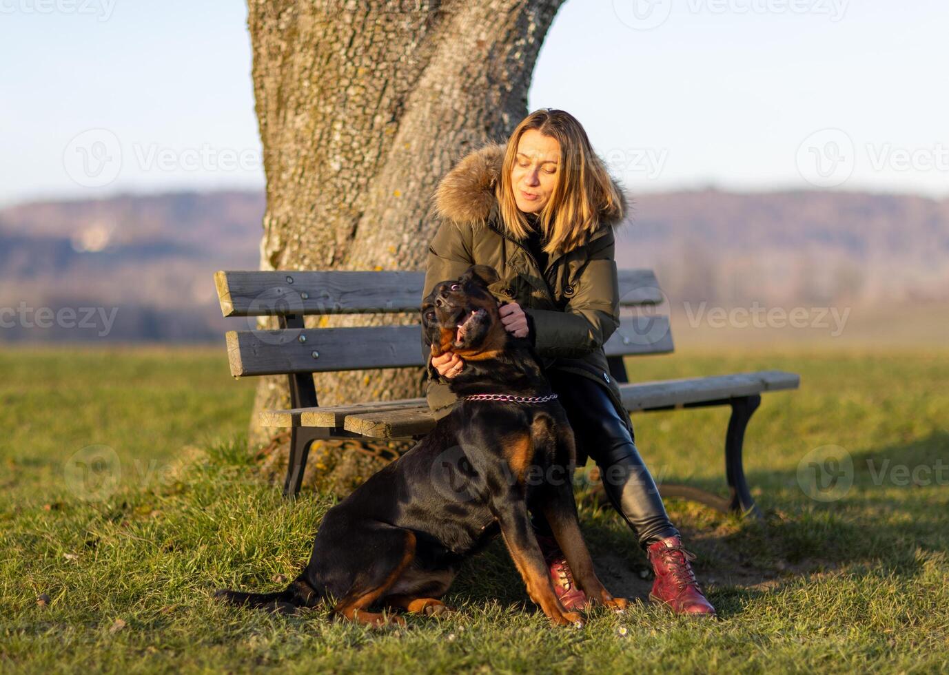 woman sits on a bench and hugs a Rottweiler on a hill in the morning photo